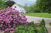 Pathway to Carriage House