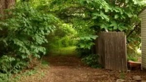 the lost pear wood trail