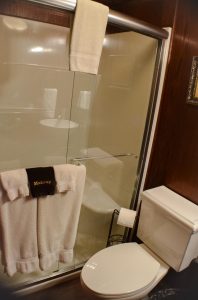 bathroom shower and toilet